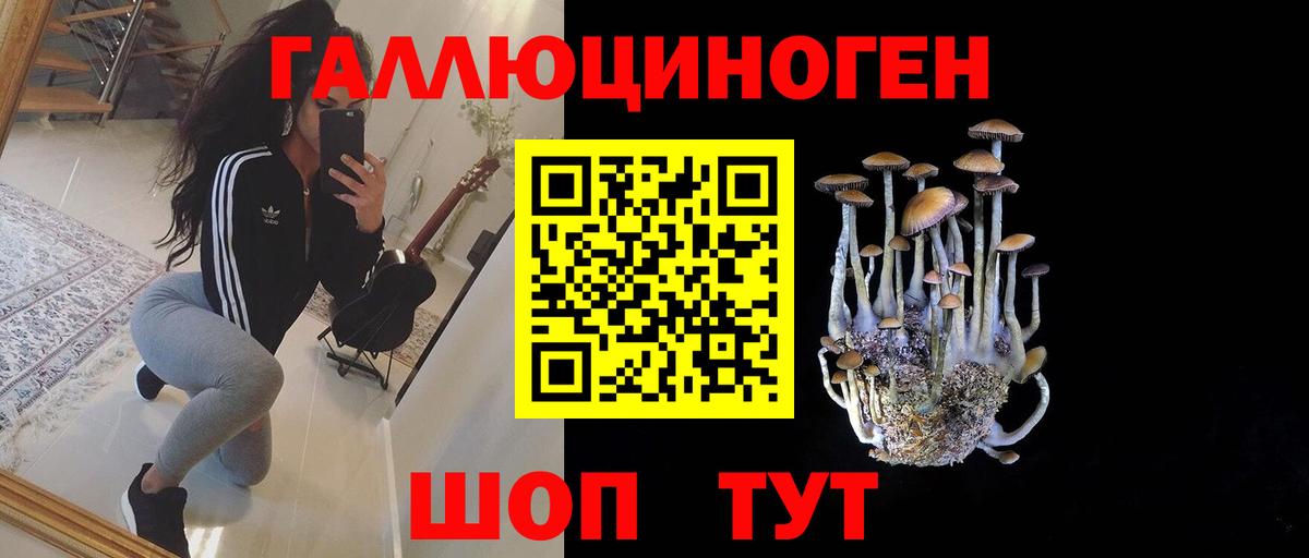 Псилоцибиновые грибы GOLDEN TEACHER Егорьевск